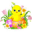 easter chick sticker