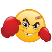 fighter emoticon sticker