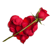 red rose sticker