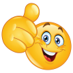 emoticon showing thumbs up sticker